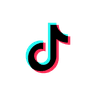 TikTok Ads Platform